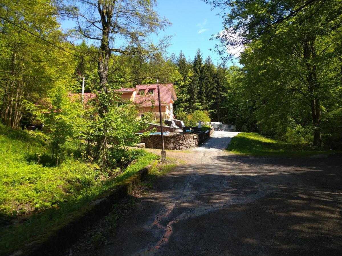 Dworek Lesny Кудова-Здруй Экстерьер фото